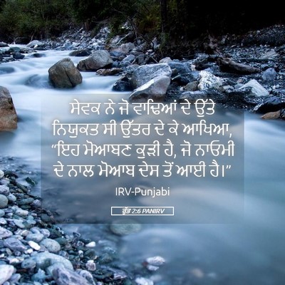 Picture 05 - ਰੁੱਤ 2:6 PANIRV - ਸੇਵਕ ਨੇ ਜੋ ਵਾਢਿਆਂ - Bible Verse Picture