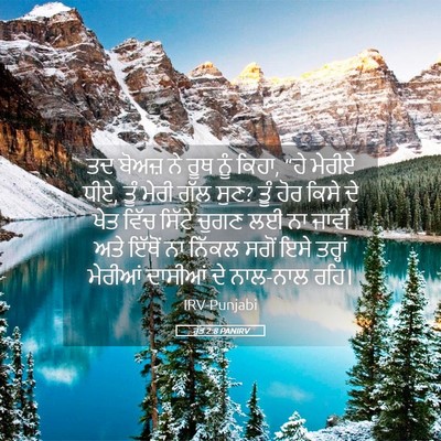 Picture 05 - ਰੁੱਤ 2:8 PANIRV - ਤਦ ਬੋਅਜ਼ ਨੇ ਰੂਥ ਨੂੰ - Bible Verse Picture