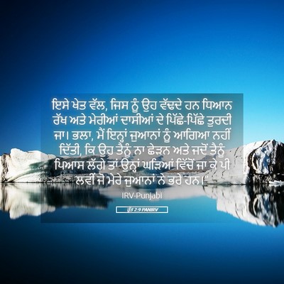 Picture 05 - ਰੁੱਤ 2:9 PANIRV - ਇਸੇ ਖੇਤ ਵੱਲ, ਜਿਸ - Bible Verse Picture