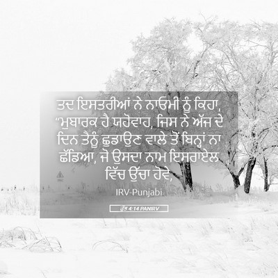Picture 05 - ਰੁੱਤ 4:14 PANIRV - ਤਦ ਇਸਤਰੀਆਂ ਨੇ - Bible Verse Picture