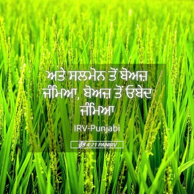 Picture 05 - ਰੁੱਤ 4:21 PANIRV - ਅਤੇ ਸਲਮੋਨ ਤੋਂ - Bible Verse Picture