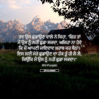 Picture 05 - ਰੁੱਤ 4:6 PANIRV - ਤਦ ਉਸ ਛੁਡਾਉਣ ਵਾਲੇ - Bible Verse Picture