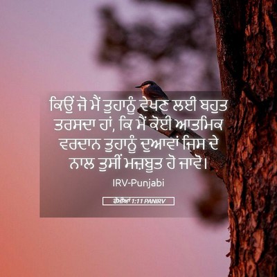 Picture 05 - ਰੋਮੀਆਂ 1:11 PANIRV - ਕਿਉਂ ਜੋ ਮੈਂ - Bible Verse Picture