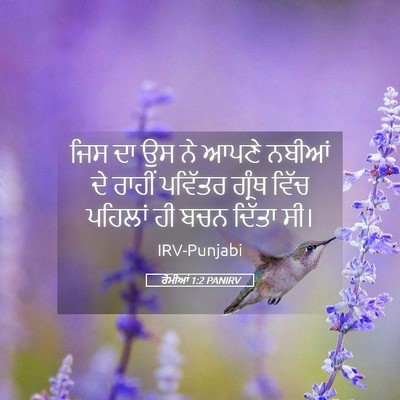 Picture 05 - ਰੋਮੀਆਂ 1:2 PANIRV - ਜਿਸ ਦਾ ਉਸ ਨੇ ਆਪਣੇ - Bible Verse Picture