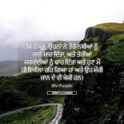 Picture 05 - ਰੋਮੀਆਂ 11:3 PANIRV - ਕਿ ਹੇ ਪ੍ਰਭੂ, ਉਹਨਾਂ - Bible Verse Picture