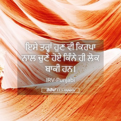 Picture 05 - ਰੋਮੀਆਂ 11:5 PANIRV - ਇਸੇ ਤਰ੍ਹਾਂ ਹੁਣ ਵੀ - Bible Verse Picture