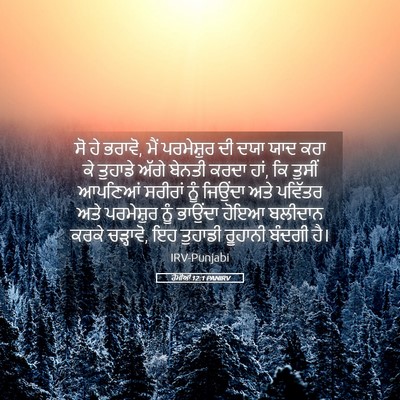 Picture 05 - ਰੋਮੀਆਂ 12:1 PANIRV - ਸੋ ਹੇ ਭਰਾਵੋ, ਮੈਂ - Bible Verse Picture