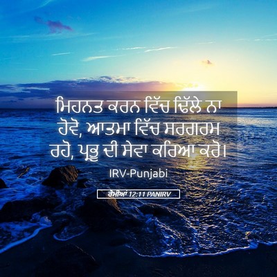 Picture 05 - ਰੋਮੀਆਂ 12:11 PANIRV - ਮਿਹਨਤ ਕਰਨ ਵਿੱਚ - Bible Verse Picture