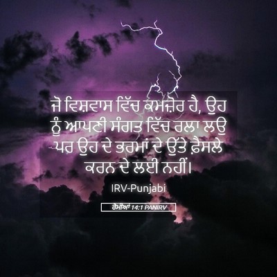 Picture 05 - ਰੋਮੀਆਂ 14:1 PANIRV - ਜੋ ਵਿਸ਼ਵਾਸ ਵਿੱਚ - Bible Verse Picture