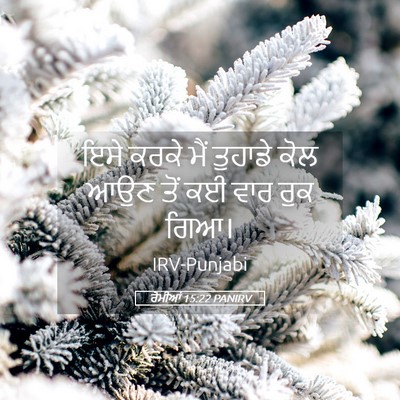 Picture 05 - ਰੋਮੀਆਂ 15:22 PANIRV - ਇਸੇ ਕਰਕੇ ਮੈਂ - Bible Verse Picture