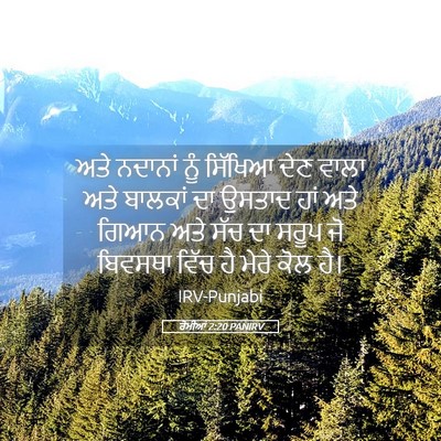 Picture 05 - ਰੋਮੀਆਂ 2:20 PANIRV - ਅਤੇ ਨਦਾਨਾਂ ਨੂੰ - Bible Verse Picture