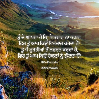Picture 05 - ਰੋਮੀਆਂ 2:22 PANIRV - ਤੂੰ ਜੋ ਆਖਦਾ ਹੈਂ ਕਿ, - Bible Verse Picture