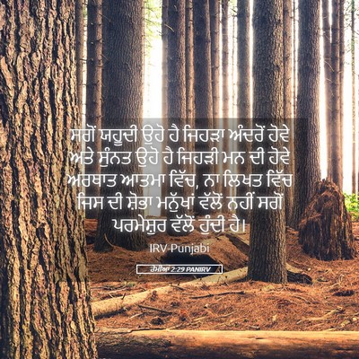 Picture 05 - ਰੋਮੀਆਂ 2:29 PANIRV - ਸਗੋਂ ਯਹੂਦੀ ਉਹੋ ਹੈ - Bible Verse Picture