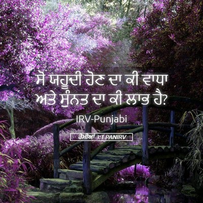 Picture 05 - ਰੋਮੀਆਂ 3:1 PANIRV - ਸੋ ਯਹੂਦੀ ਹੋਣ ਦਾ ਕੀ - Bible Verse Picture