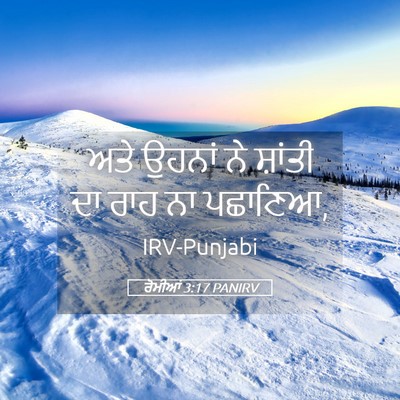 Picture 05 - ਰੋਮੀਆਂ 3:17 PANIRV - ਅਤੇ ਉਹਨਾਂ ਨੇ - Bible Verse Picture