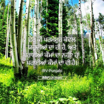 Picture 05 - ਰੋਮੀਆਂ 3:29 PANIRV - ਫੇਰ ਕੀ ਪਰਮੇਸ਼ੁਰ - Bible Verse Picture