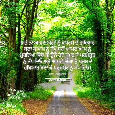 Picture 05 - ਰੋਮੀਆਂ 6:13 PANIRV - ਅਤੇ ਨਾ ਆਪਣੇ ਅੰਗਾਂ - Bible Verse Picture