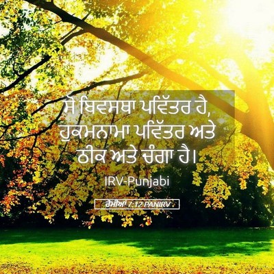 Picture 05 - ਰੋਮੀਆਂ 7:12 PANIRV - ਸੋ ਬਿਵਸਥਾ ਪਵਿੱਤਰ - Bible Verse Picture