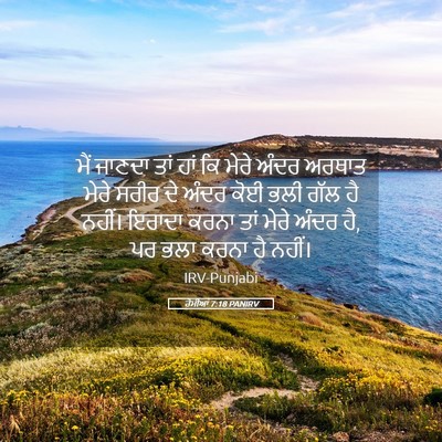 Picture 05 - ਰੋਮੀਆਂ 7:18 PANIRV - ਮੈਂ ਜਾਣਦਾ ਤਾਂ ਹਾਂ - Bible Verse Picture