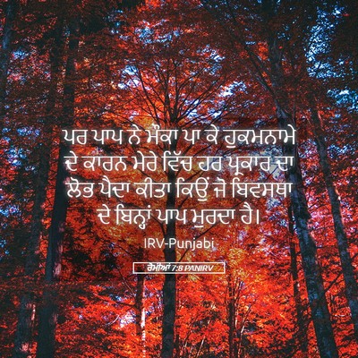 Picture 05 - ਰੋਮੀਆਂ 7:8 PANIRV - ਪਰ ਪਾਪ ਨੇ ਮੌਕਾ ਪਾ - Bible Verse Picture