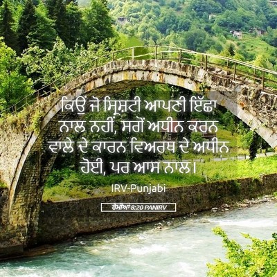 Picture 05 - ਰੋਮੀਆਂ 8:20 PANIRV - ਕਿਉਂ ਜੋ ਸ੍ਰਿਸ਼ਟੀ - Bible Verse Picture