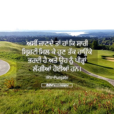 Picture 05 - ਰੋਮੀਆਂ 8:22 PANIRV - ਅਸੀਂ ਜਾਣਦੇ ਤਾਂ ਹਾਂ - Bible Verse Picture