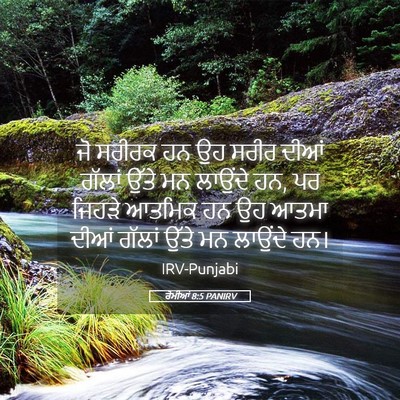 Picture 05 - ਰੋਮੀਆਂ 8:5 PANIRV - ਜੋ ਸਰੀਰਕ ਹਨ ਉਹ ਸਰੀਰ - Bible Verse Picture