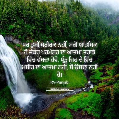 Picture 05 - ਰੋਮੀਆਂ 8:9 PANIRV - ਪਰ ਤੁਸੀਂ ਸਰੀਰਕ - Bible Verse Picture