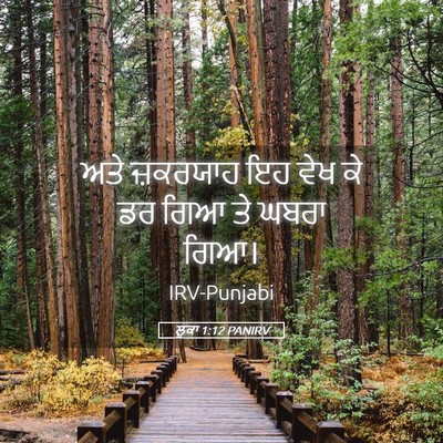 Picture 05 - ਲੂਕਾ 1:12 PANIRV - ਅਤੇ ਜ਼ਕਰਯਾਹ ਇਹ ਵੇਖ - Bible Verse Picture