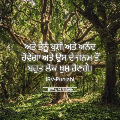 Picture 05 - ਲੂਕਾ 1:14 PANIRV - ਅਤੇ ਤੈਨੂੰ ਖੁਸ਼ੀ - Bible Verse Picture