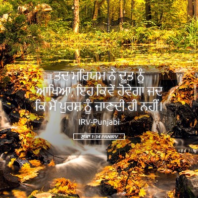 Picture 05 - ਲੂਕਾ 1:34 PANIRV - ਤਦ ਮਰਿਯਮ ਨੇ ਦੂਤ ਨੂੰ - Bible Verse Picture