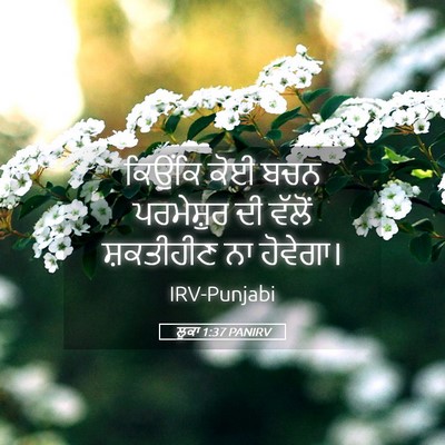 Picture 05 - ਲੂਕਾ 1:37 PANIRV - ਕਿਉਂਕਿ ਕੋਈ ਬਚਨ - Bible Verse Picture