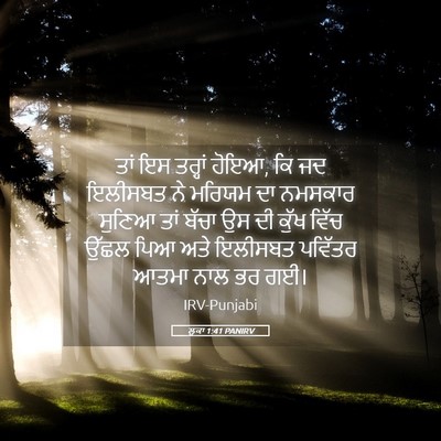 Picture 05 - ਲੂਕਾ 1:41 PANIRV - ਤਾਂ ਇਸ ਤਰ੍ਹਾਂ ਹੋਇਆ, - Bible Verse Picture