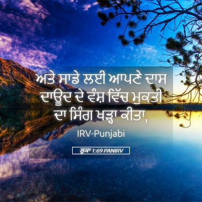 Picture 05 - ਲੂਕਾ 1:69 PANIRV - ਅਤੇ ਸਾਡੇ ਲਈ ਆਪਣੇ - Bible Verse Picture