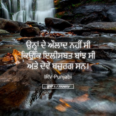 Picture 05 - ਲੂਕਾ 1:7 PANIRV - ਉਨ੍ਹਾਂ ਦੇ ਔਲਾਦ - Bible Verse Picture