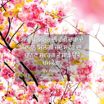 Picture 05 - ਲੂਕਾ 1:78 PANIRV - ਸਾਡੇ ਪਰਮੇਸ਼ੁਰ ਦੀ - Bible Verse Picture