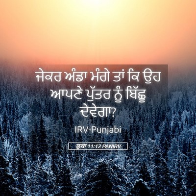 Picture 05 - ਲੂਕਾ 11:12 PANIRV - ਜੇਕਰ ਅੰਡਾ ਮੰਗੇ ਤਾਂ - Bible Verse Picture