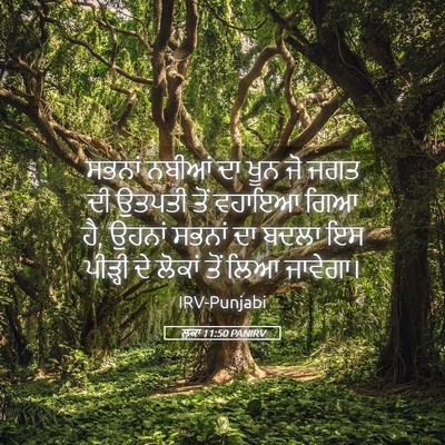 Picture 05 - ਲੂਕਾ 11:50 PANIRV - ਸਭਨਾਂ ਨਬੀਆਂ ਦਾ ਖੂਨ - Bible Verse Picture