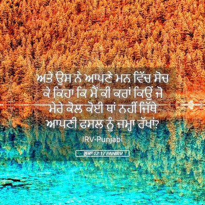 Picture 05 - ਲੂਕਾ 12:17 PANIRV - ਅਤੇ ਉਸ ਨੇ ਆਪਣੇ ਮਨ - Bible Verse Picture