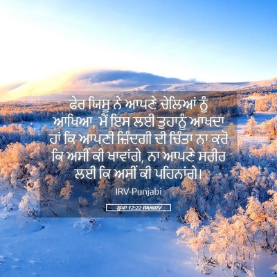 Picture 05 - ਲੂਕਾ 12:22 PANIRV - ਫੇਰ ਯਿਸੂ ਨੇ ਆਪਣੇ - Bible Verse Picture