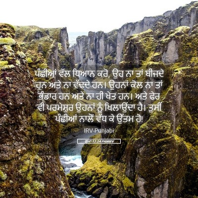 Picture 05 - ਲੂਕਾ 12:24 PANIRV - ਪੰਛੀਆਂ ਵੱਲ ਧਿਆਨ - Bible Verse Picture