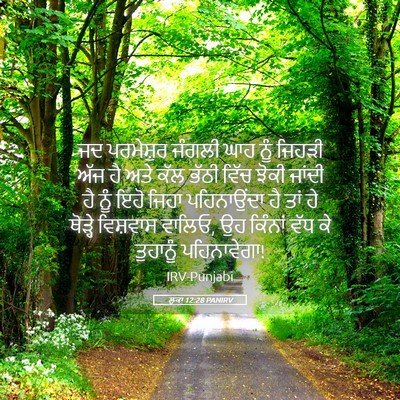 Picture 05 - ਲੂਕਾ 12:28 PANIRV - ਜਦ ਪਰਮੇਸ਼ੁਰ ਜੰਗਲੀ - Bible Verse Picture