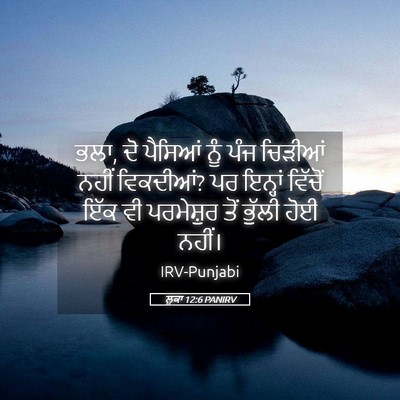 Picture 05 - ਲੂਕਾ 12:6 PANIRV - ਭਲਾ, ਦੋ ਪੈਸਿਆਂ ਨੂੰ - Bible Verse Picture