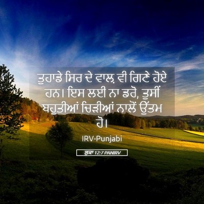 Picture 05 - ਲੂਕਾ 12:7 PANIRV - ਤੁਹਾਡੇ ਸਿਰ ਦੇ ਵਾਲ਼ - Bible Verse Picture