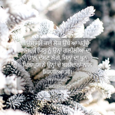 Picture 05 - ਲੂਕਾ 13:1 PANIRV - ਉਸ ਸਮੇਂ ਕਈ ਲੋਕ ਉੱਥੇ - Bible Verse Picture