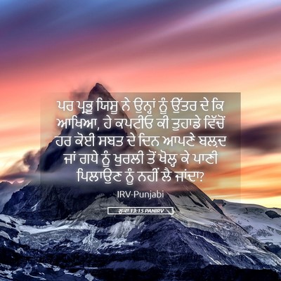 Picture 05 - ਲੂਕਾ 13:15 PANIRV - ਪਰ ਪ੍ਰਭੂ ਯਿਸੂ ਨੇ - Bible Verse Picture