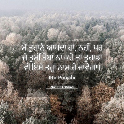 Picture 05 - ਲੂਕਾ 13:3 PANIRV - ਮੈਂ ਤੁਹਾਨੂੰ ਆਖਦਾ - Bible Verse Picture