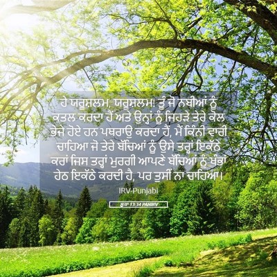 Picture 05 - ਲੂਕਾ 13:34 PANIRV - ਹੇ ਯਰੂਸ਼ਲਮ, - Bible Verse Picture