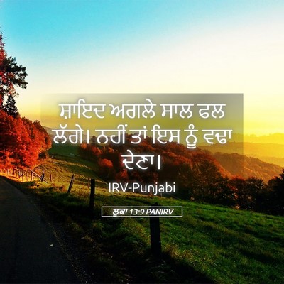 Picture 05 - ਲੂਕਾ 13:9 PANIRV - ਸ਼ਾਇਦ ਅਗਲੇ ਸਾਲ ਫਲ - Bible Verse Picture