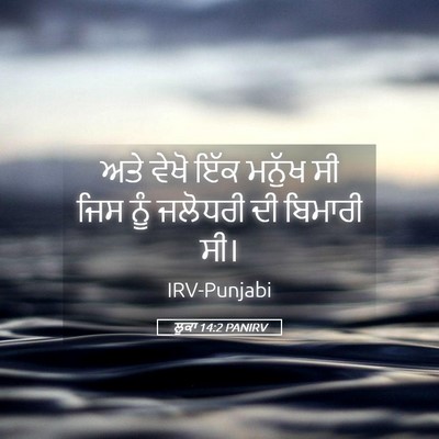 Picture 05 - ਲੂਕਾ 14:2 PANIRV - ਅਤੇ ਵੇਖੋ ਇੱਕ ਮਨੁੱਖ - Bible Verse Picture